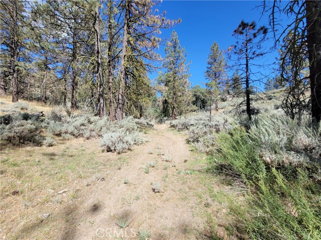 25701 Paramount Drive, Tehachapi, California 93561, ,Land,For Sale,25701 Paramount Drive,CRSR24047441