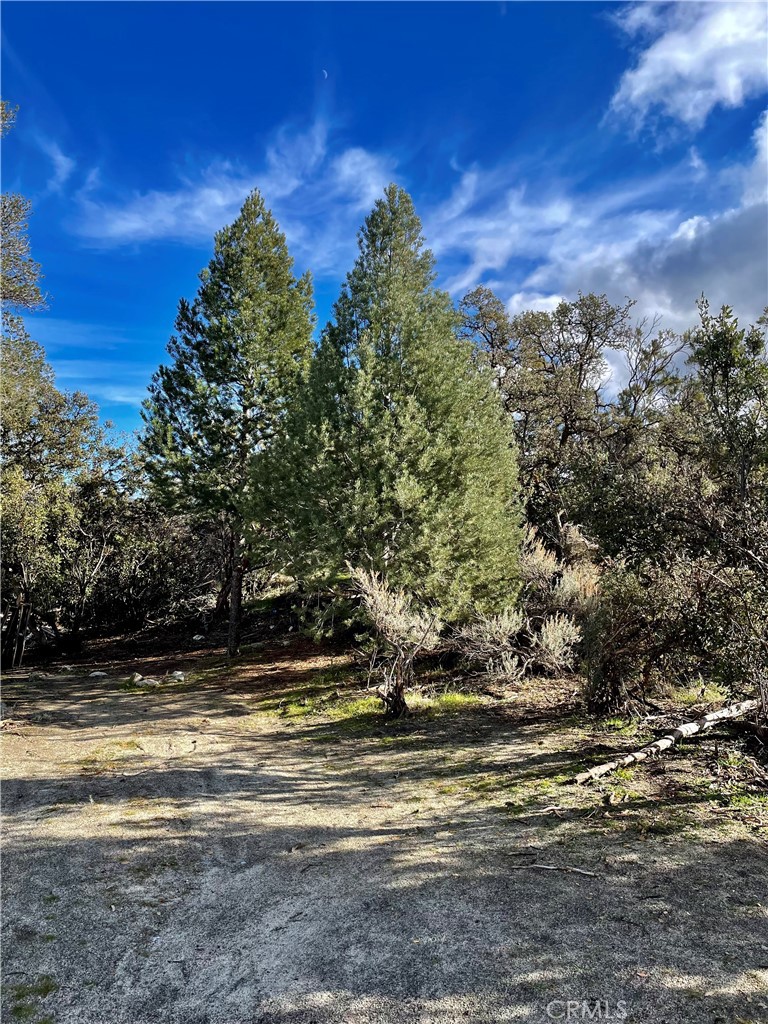 57850 Forestry Road, Anza, CA 92539