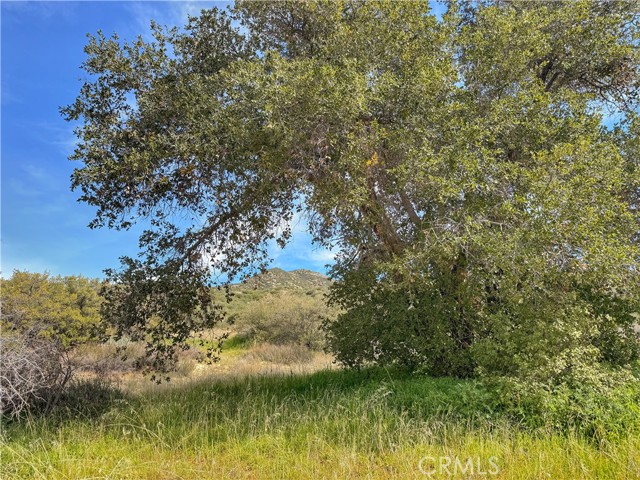 Detail Gallery Image 5 of 32 For 28013 San Felipe Rd, Warner Springs,  CA 92086 - – Beds | – Baths