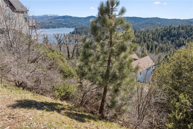 Detail Gallery Image 7 of 20 For 0 Matterhorn, Lake Arrowhead,  CA 92352 - – Beds | – Baths