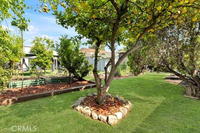 6507 Gentry Avenue, North Hollywood CA: https://media.crmls.org/medias/187aefc5-0f27-45df-bcd5-e44290c1aadf.jpg