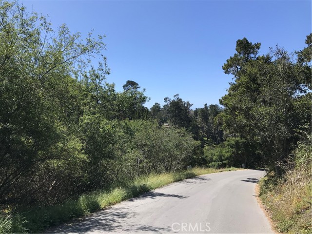 0 Hillcrest Drive, Cambria, California 93428, ,Land,For Sale,0 Hillcrest Drive,CRSC22073549