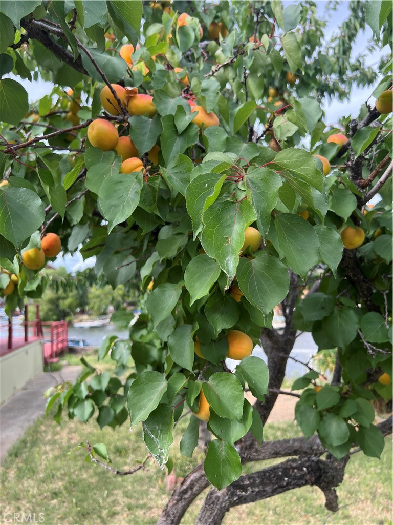 https://media.crmls.org/medias/18805d42-57b6-4d86-81fd-332af3e4140a.jpg?preset=X-Large
