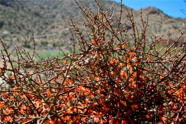 Detail Gallery Image 38 of 38 For 0 San Andreas, Joshua Tree,  CA 92252 - – Beds | – Baths