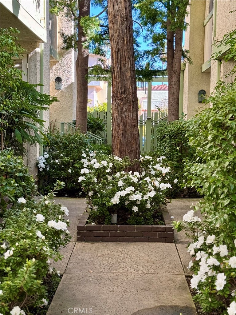 https://media.crmls.org/medias/1884ab7f-68b4-4f01-9671-63be88ccb87b.jpg?preset=X-Large