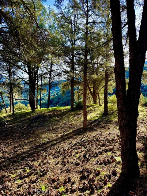 Detail Gallery Image 3 of 7 For 2604 Tirol, –,  CA 93225 - – Beds | – Baths