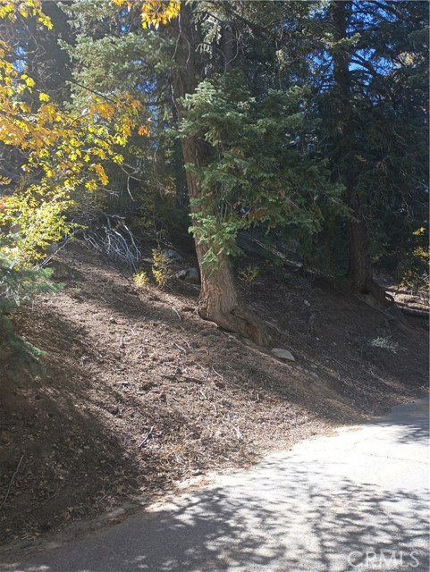 0 Cherry, Big Bear Lake, CA, 92315 0 Cherry, Big Bear Lake, CA, 92315