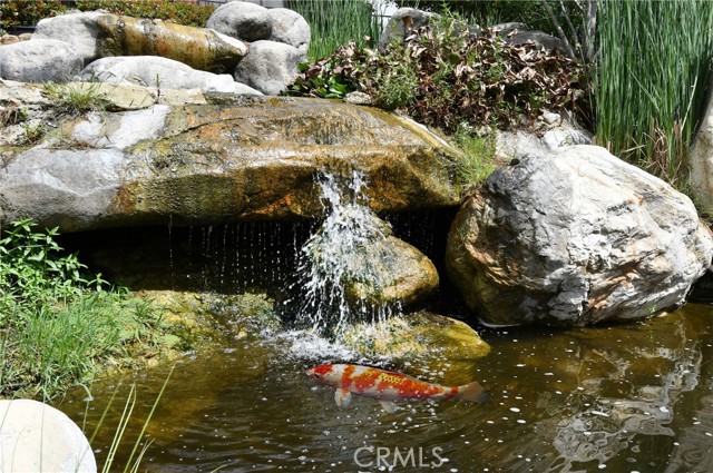 Detail Gallery Image 56 of 64 For 6265 Canoga #53,  Woodland Hills,  CA 91367 - 2 Beds | 2/1 Baths