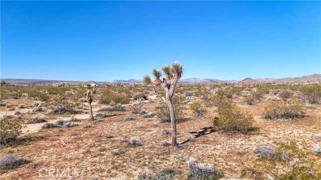 Detail Gallery Image 34 of 48 For 438 Sage Ave, Yucca Valley,  CA 92284 - – Beds | – Baths