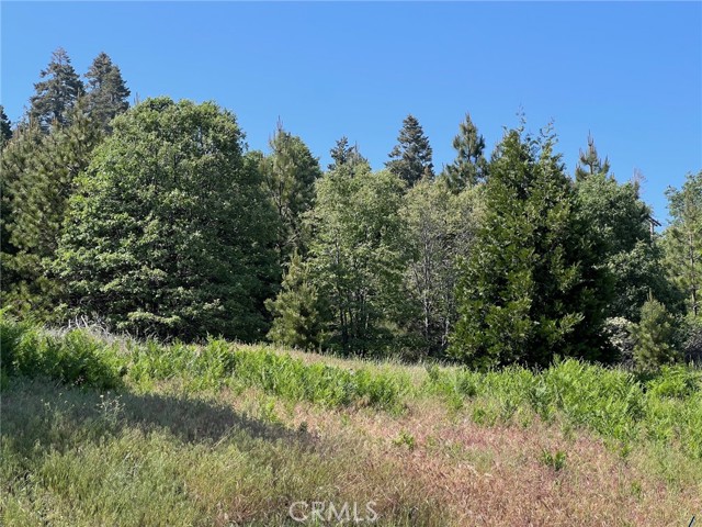 28879 Sycamore Drive, Lake Arrowhead CA: https://media.crmls.org/medias/18abbadc-624a-4d4f-b463-7fcedb6797ee.jpg
