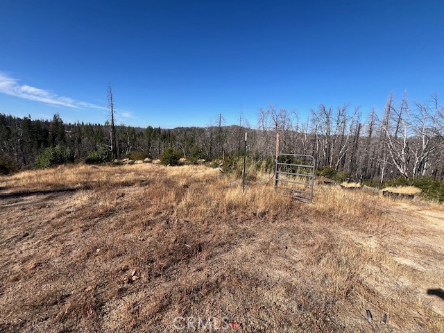80 Oak Drive, Berry Creek CA: https://media.crmls.org/medias/18b433c9-c12f-4e34-9934-2d6f73860fce.jpg