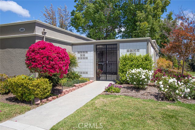 393 Avenida Castilla #C, Laguna Woods, CA 92637