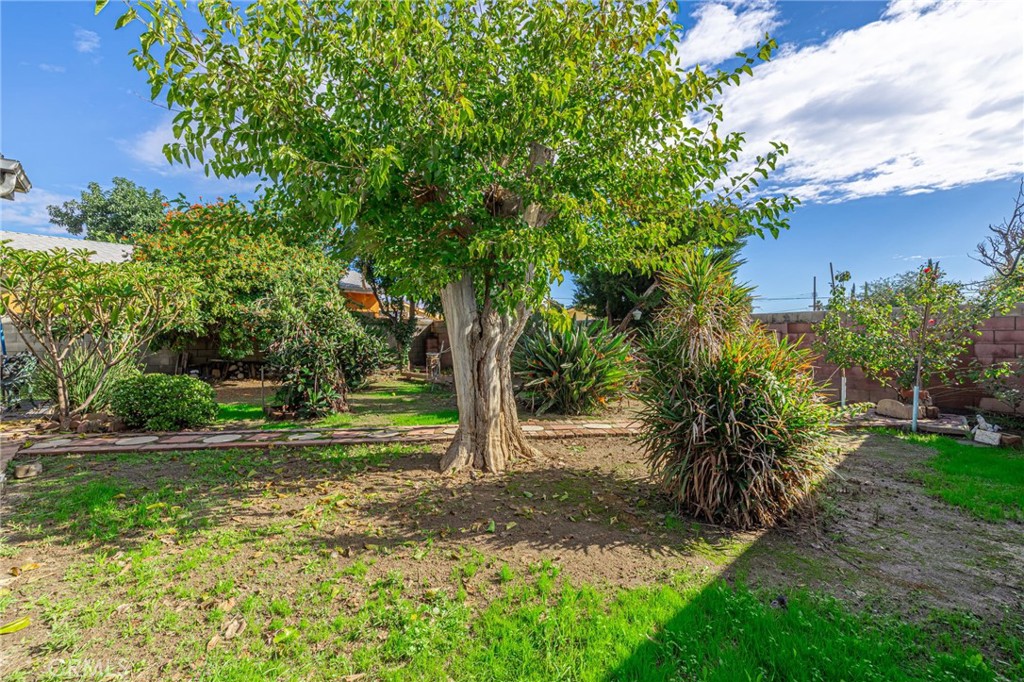 MLS #IV25263790 image #21