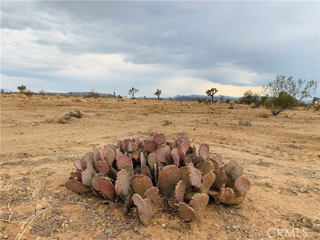Detail Gallery Image 2 of 6 For 58040 Junipero, Yucca Valley,  CA 92284 - – Beds | – Baths