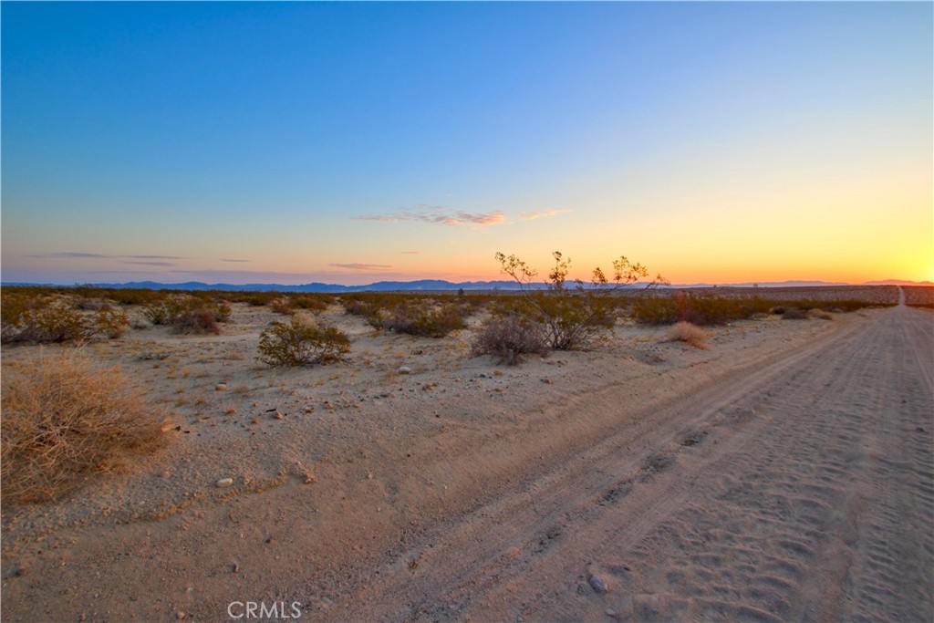 MLS #JT25071658 image #11