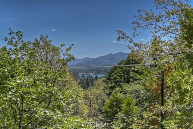 Detail Gallery Image 55 of 55 For 544 Old Toll Rd, Lake Arrowhead,  CA 92352 - 4 Beds | 3 Baths