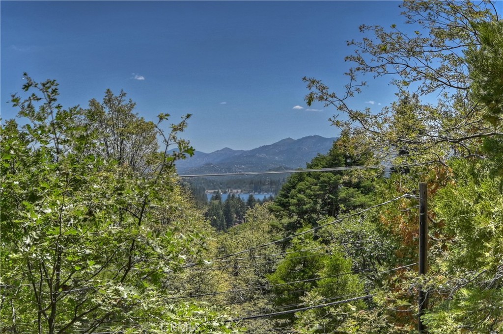 MLS #IG25122056 image #54