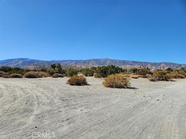 Front Image Thumbnail for CRIV25236039