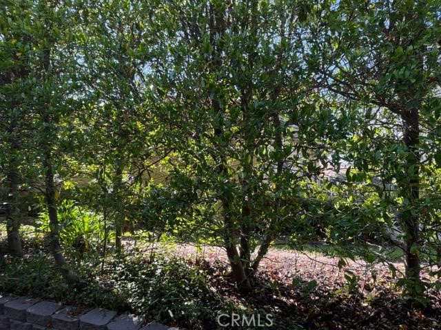 Detail Gallery Image 14 of 55 For 5105 Despacio, Laguna Woods,  CA 92637 - 2 Beds | 2 Baths