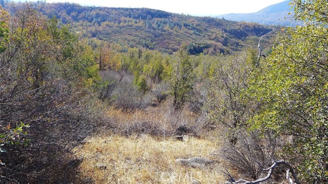 Detail Gallery Image 9 of 11 For 0 Crestline Dr, Round Mountain,  CA 96084 - – Beds | – Baths