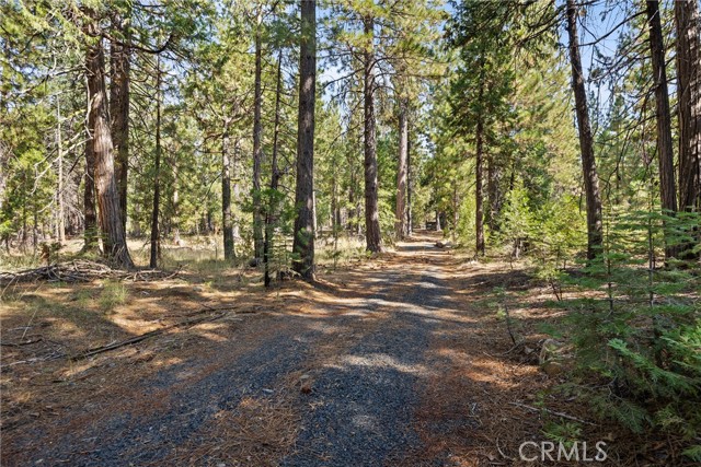 Detail Gallery Image 22 of 47 For 8002 Humboldt Rd, Butte Meadows,  CA 95942 - 2 Beds | 1 Baths