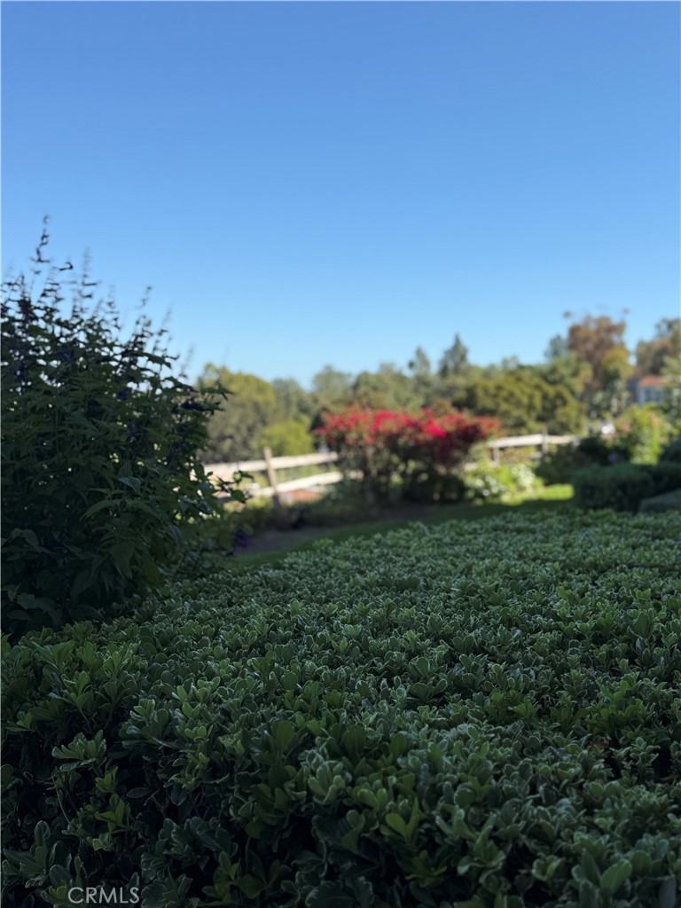 https://media.crmls.org/medias/18d98d8a-1c17-430f-a2b8-a917b6795105.jpg?preset=X-Large