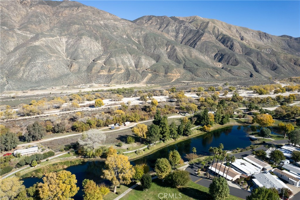 MLS #SW25275102 image #47