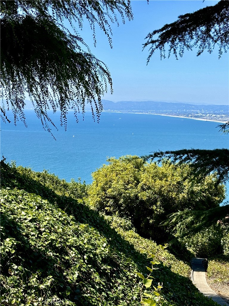 https://media.crmls.org/medias/18dcf978-ca30-414a-bfd2-fa661a9210db.jpg?preset=X-Large