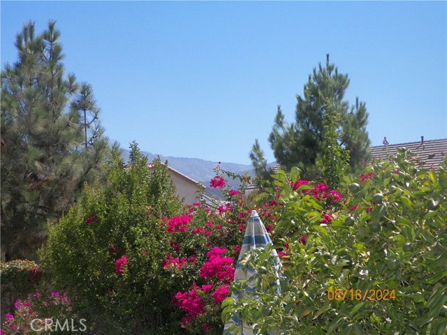 Detail Gallery Image 30 of 35 For 6673 N Ofelia Dr, San Bernardino,  CA 92407 - 4 Beds | 2 Baths