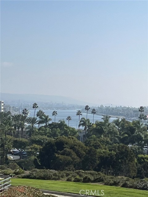 Front Image Thumbnail for CRNP25270095