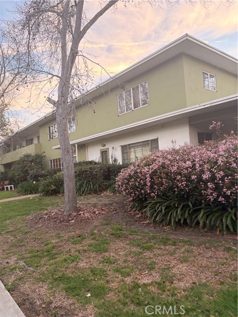 Front Image Thumbnail for CRDW26069829