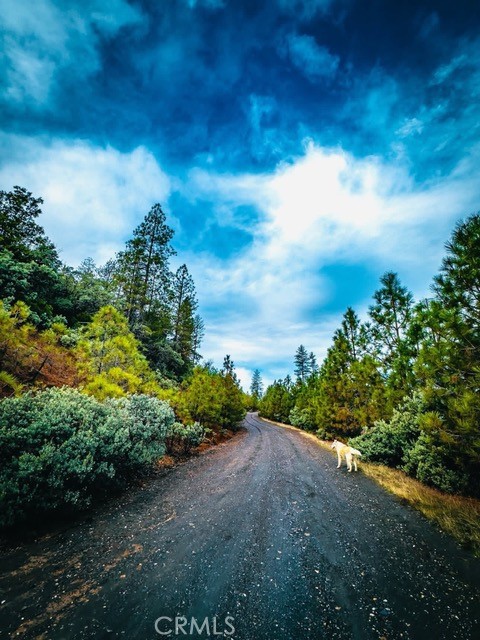 https://media.crmls.org/medias/18f400dc-8b6a-496e-9100-315a4ea4d446.jpg?preset=X-Large