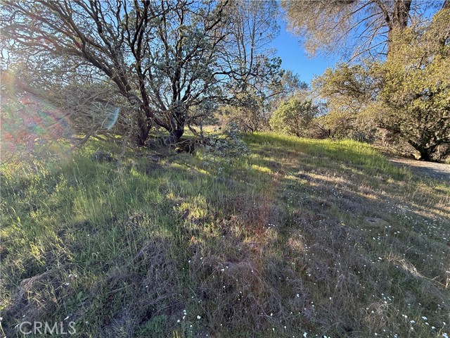Detail Gallery Image 17 of 25 For 0 Long Hollow Lot 1631, Coarsegold,  CA 93614 - – Beds | – Baths