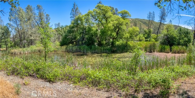 Detail Gallery Image 59 of 73 For 1540 New Long Valley Rd, Clearlake Oaks,  CA 95423 - 3 Beds | 2 Baths