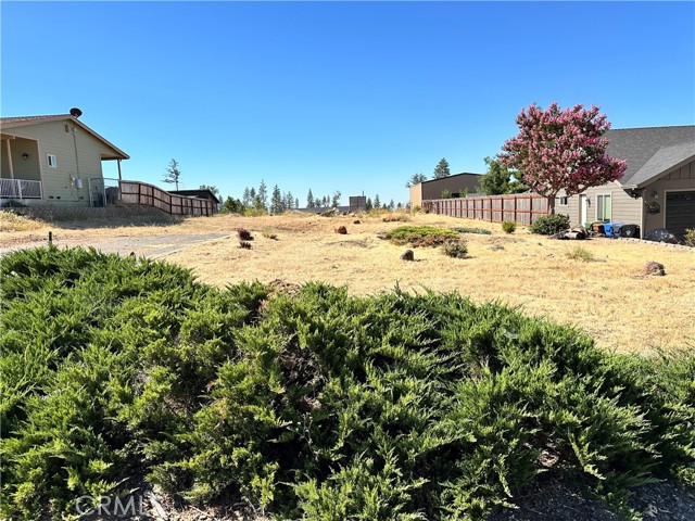 Front Image Thumbnail for CRPA25272438