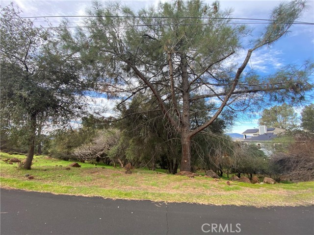 Front Image Thumbnail for CRLC25270030