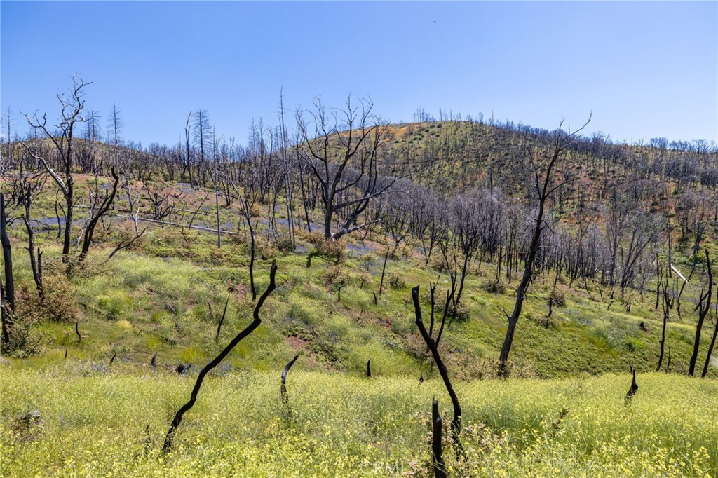 MLS #MP25088475 image #67