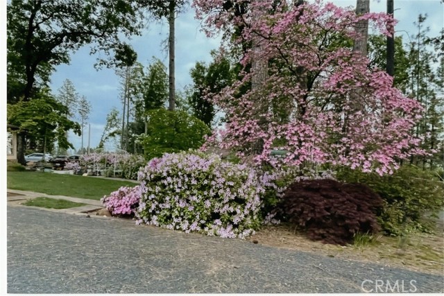 Detail Gallery Image 73 of 75 For 6090 Rossi Way, Paradise,  CA 95969 - 4 Beds | 3 Baths