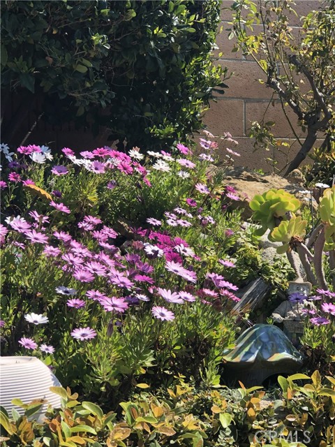 Detail Gallery Image 36 of 40 For 1030 S Danehurst Ave, Glendora,  CA 91740 - 3 Beds | 2 Baths