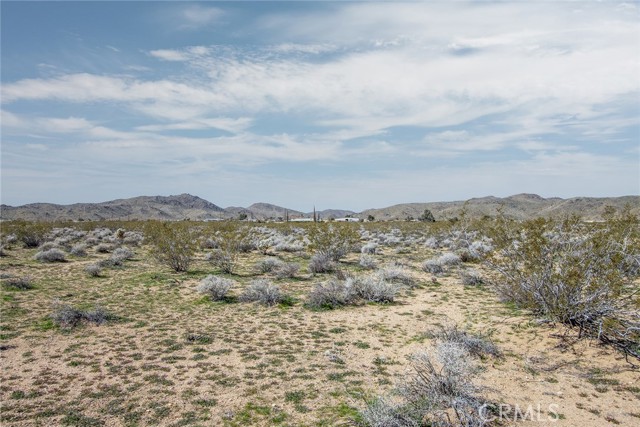 Detail Gallery Image 14 of 18 For 55875 Desideria Dr, Landers,  CA 92285 - – Beds | – Baths