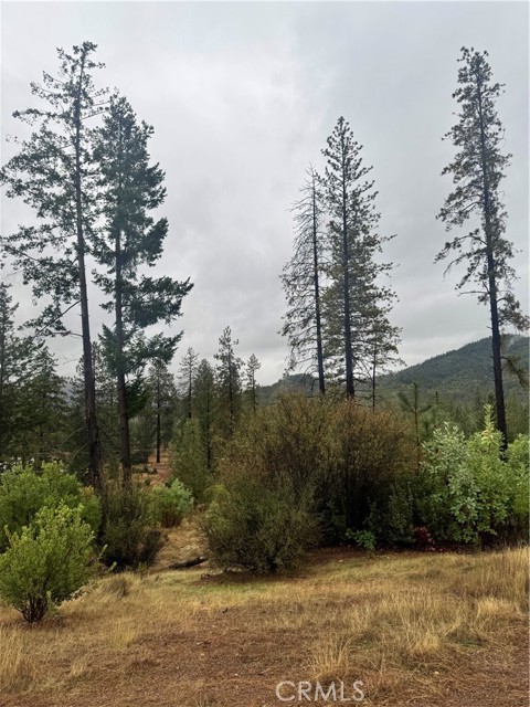 Detail Gallery Image 5 of 12 For 21575 My Way, Middletown,  CA 95461 - – Beds | – Baths