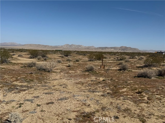 Detail Gallery Image 7 of 12 For 0 Datura Ter, Johnson Valley,  CA 92285 - – Beds | – Baths