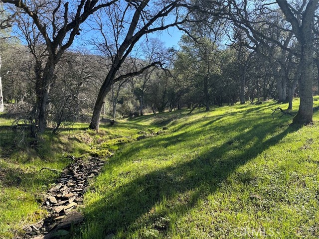 Detail Gallery Image 13 of 32 For 471 Ac - Hwy 49n, Mariposa,  CA 95338 - – Beds | – Baths