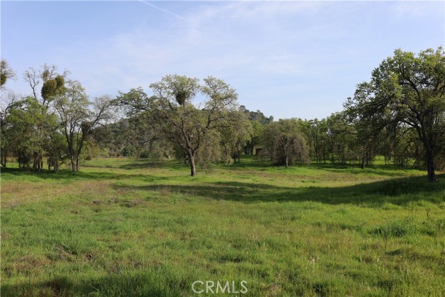 Detail Gallery Image 30 of 32 For 0 Douglas Rd, Coarsegold,  CA 93614 - – Beds | – Baths