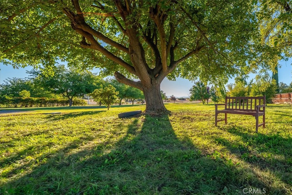 https://media.crmls.org/medias/193a28f7-c100-45a9-bc92-2eded432dab6.jpg?preset=X-Large