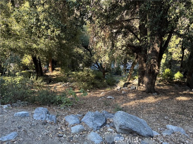 Front Image Thumbnail for CRPW25057094