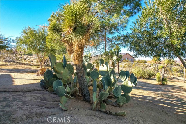 Detail Gallery Image 47 of 65 For 61218 Sandalwood Trl, Joshua Tree,  CA 92252 - 3 Beds | 2 Baths