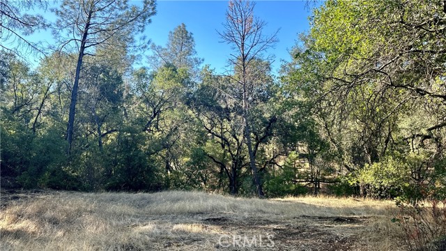 Detail Gallery Image 23 of 28 For 0 Rich Gulch Rd, Yankee Hill,  CA 95965 - – Beds | – Baths