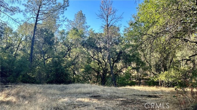 Detail Gallery Image 23 of 28 For 0 Rich Gulch Rd, Yankee Hill,  CA 95965 - – Beds | – Baths