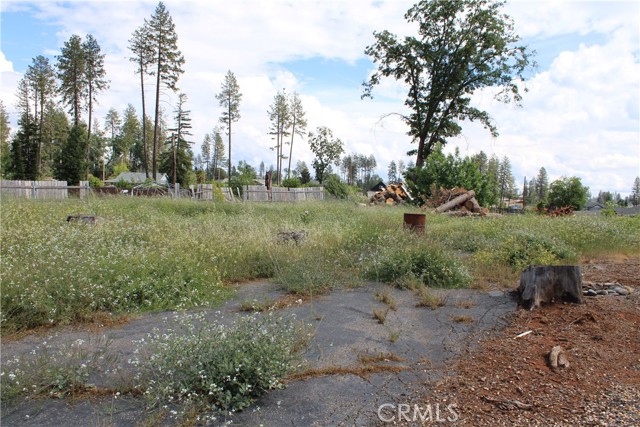 Image 6 of 12 For 6096 Cliff  